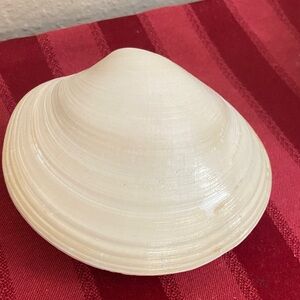 Vintage 60s Matching White Clam Shell Set